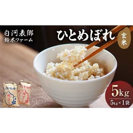 ふるさと納税 米 ひとめぼれ 福島県 白河市 令和7年産米 白河表郷 ひとめぼれ 玄米 5kg 米 コメ ごはん ご飯 食品 F24R-194