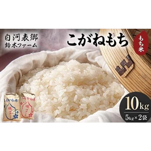 ふるさと納税 もち米・餅 福島県 白河市 令和7年産米 白河表郷 こがねもち もち米 10kg 米 コメ ごはん ご飯 食品 F24R-204