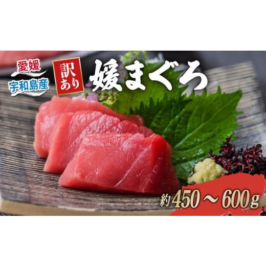 ふるさと納税 マグロ 愛媛県 宇和島市 2026年3月25日発送 訳あり 本マグロ ブロック 450〜600g 媛まぐろ ダイニチ 鮪 刺身 国産マグロ 養殖マグロ 本鮪 クロ…