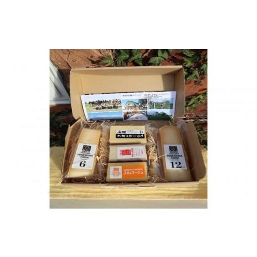 ふるさと納税 加工品等 チーズ 北海道 江別市 熟成チーズ 5種セット