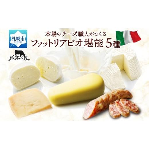 ふるさと納税 加工品等 チーズ 北海道 札幌市 ファットリアビオ 堪能5種セット | ファットリアビオ北海道 チーズ 食べ比べ 北海道 札幌市
