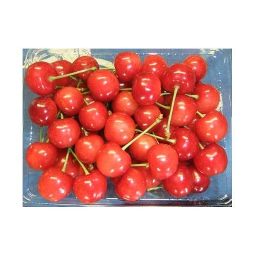 ふるさと納税 果物類 さくらんぼ 山形県 上山市 さくらんぼ(佐藤錦)500g ご家庭用