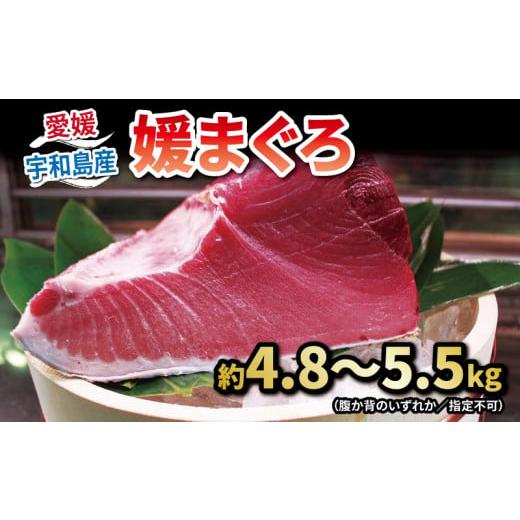 ふるさと納税 マグロ 愛媛県 宇和島市 2026年4月22日発送 本マグロ ブロック 4.8〜5.5kg 媛まぐろ ダイニチ マグロ 赤身 中トロ 大トロ 部位 指定不可 マグロ…