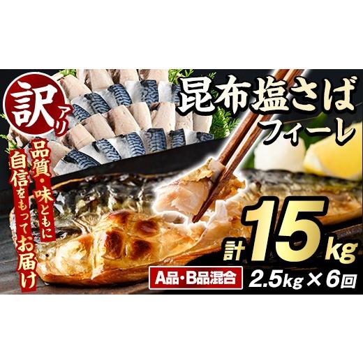 ふるさと納税 旬の鮮魚等 鹿児島県 阿久根市 定期便(隔月)・全6回 訳あり 昆布塩さばフィーレ(A品B品混合・計15kg) 大容量 ボリューム サバ 鯖 おかず おつま…