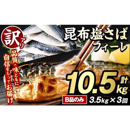 ふるさと納税 旬の鮮魚等 鹿児島県 阿久根市 定期便(隔月)・全3回 訳あり 昆布塩さばフィーレ(B品のみ・計10.5kg) 大容量 ボリューム サバ 鯖 おかず おつま…