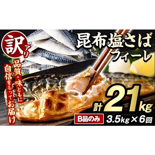 ふるさと納税 旬の鮮魚等 鹿児島県 阿久根市 定期便(隔月)・全6回 訳あり 昆布塩さばフィーレ(B品のみ・計21kg) 大容量 ボリューム サバ 鯖 おかず おつまみ …