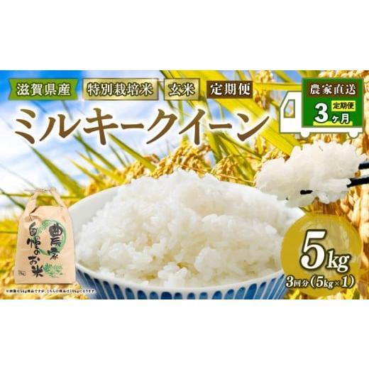 ふるさと納税 米 ミルキークイーン 滋賀県 竜王町 新米 特別栽培米 ミルキークイーン 米 5kg 玄米 定期便 3ヶ月 みるきーくいーん 定期 3か月 2025年産 滋賀県…