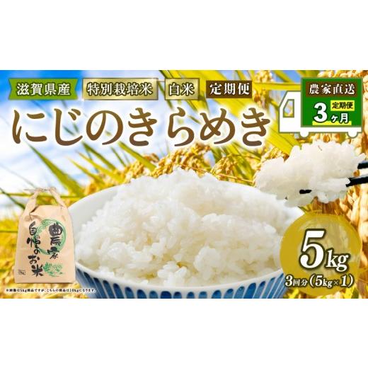 ふるさと納税 米 滋賀県 竜王町 新米 特別栽培米 にじのきらめき 令和7年産 米 5kg 白米 定期便 3ヶ月 計 15kg 虹のきらめき 2025年産 国産 農家直送 5kg × 3…