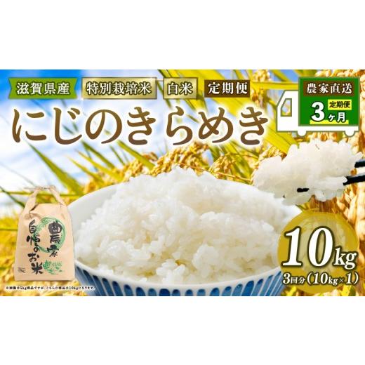 ふるさと納税 米 コシヒカリ 滋賀県 竜王町 特別栽培米 にじのきらめき 令和7年産 米 10kg 白米 定期便 3ヶ月 計 30kg 虹のきらめき 2025年産 国産 農家直送 1…の画像