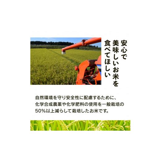 ふるさと納税 米 コシヒカリ 滋賀県 竜王町 特別栽培米 にじのきらめき 令和7年産 米 10kg 白米 定期便 3ヶ月 計 30kg 虹のきらめき 2025年産 国産 農家直送 1…の画像
