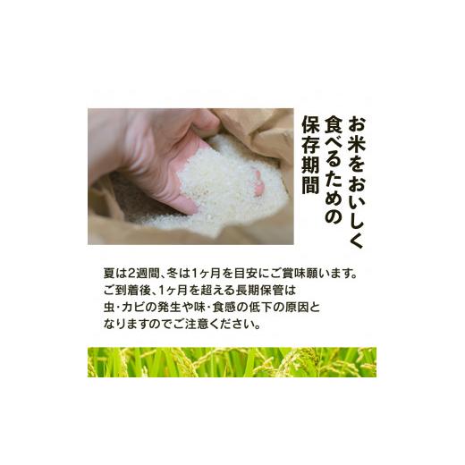 ふるさと納税 米 コシヒカリ 滋賀県 竜王町 特別栽培米 にじのきらめき 令和7年産 米 10kg 白米 定期便 3ヶ月 計 30kg 虹のきらめき 2025年産 国産 農家直送 1…の画像