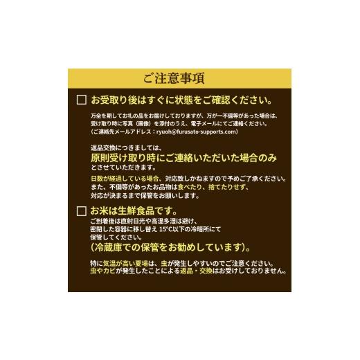 ふるさと納税 米 コシヒカリ 滋賀県 竜王町 特別栽培米 にじのきらめき 令和7年産 米 10kg 白米 定期便 3ヶ月 計 30kg 虹のきらめき 2025年産 国産 農家直送 1…の画像
