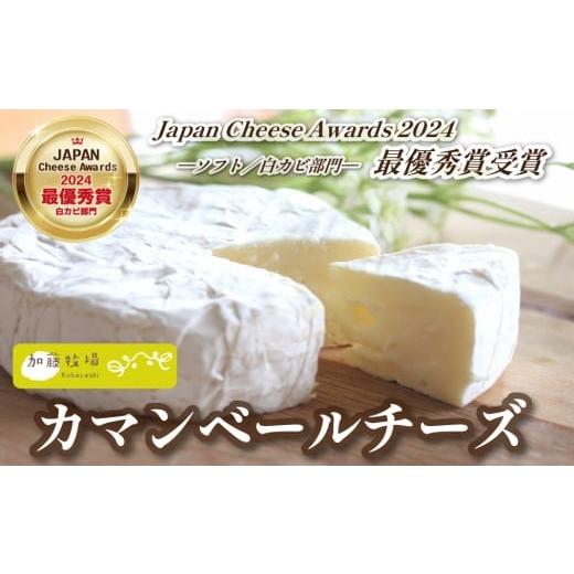 ふるさと納税 加工品等 チーズ 宮崎県 小林市 国内コンテスト最優秀賞受賞 カマンベールチーズ 1個 100g (チーズ 国産 乳製品 生乳 国産チーズ ノンホモ 手…