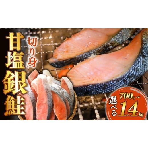 ふるさと納税 魚貝類 鮭 愛知県 南知多町 訳あり 甘塩 銀鮭 切身 700g 鮭 焼き魚 海鮮 魚介類 魚貝類 惣菜 晩ごはん おかず 夕食 美味しい 簡易包装 訳アリ 規…
