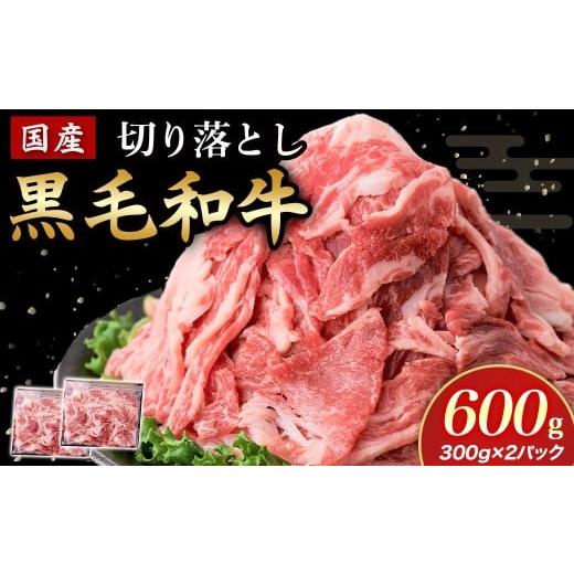ふるさと納税 牛肉 宮崎県 小林市 国産黒毛和牛切り落とし 600g ( 国産 牛 牛肉 黒毛和牛 切り落とし 真空 小分け 冷凍 宮崎県 小林市 ) 国産和牛切り落とし…