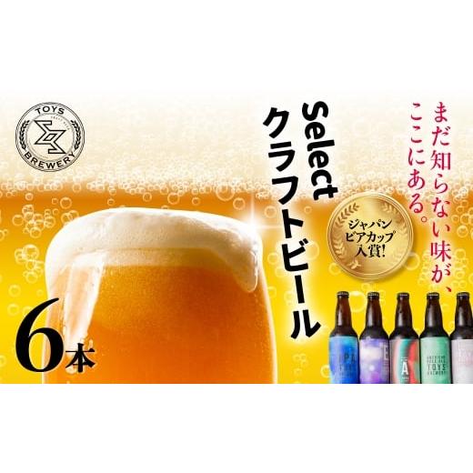 ふるさと納税 飲料類 愛知県 豊橋市 JBC入賞 クラフトビール アソート 6本 セット TOYS BREWERY