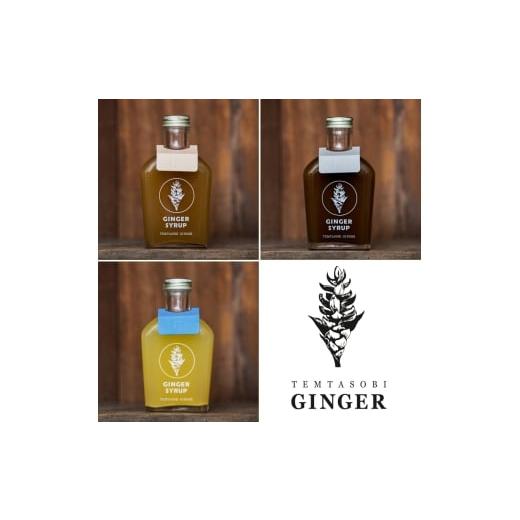 ふるさと納税 飲料類 愛知県 豊橋市 クラフトジンジャーシロップ 3本セット