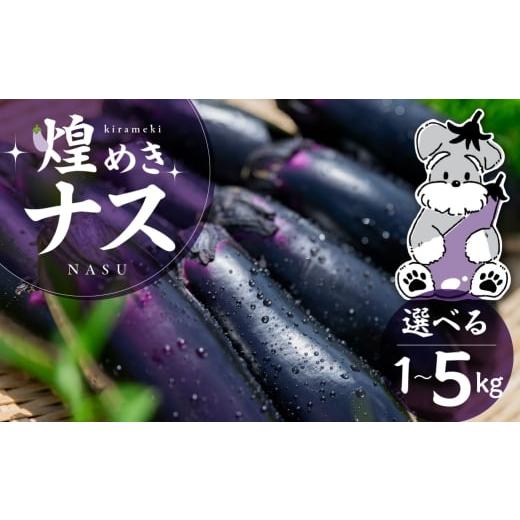 ふるさと納税 野菜類 愛知県 豊橋市 煌めきナス 1kg 1kg 4,000円