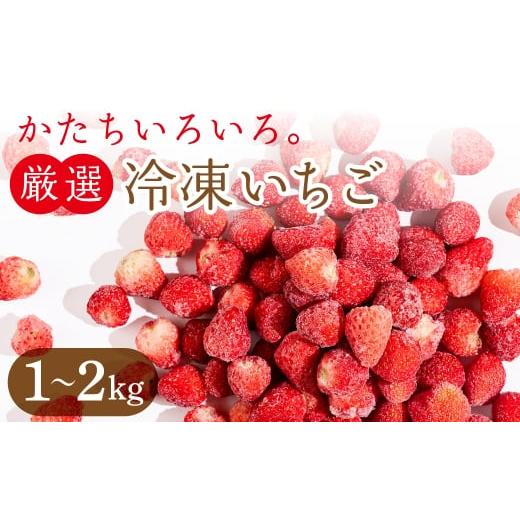 ふるさと納税 果物類 愛知県 豊橋市 フローズンいちご 1kg 1kg 5,500円
