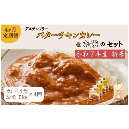 ふるさと納税 米 ヒノヒカリ 奈良県 奈良市 定期便 令和7年産 新米:ヒノヒカリ白米5kg+バターチキンカレー4袋×4ヶ月 150-019
