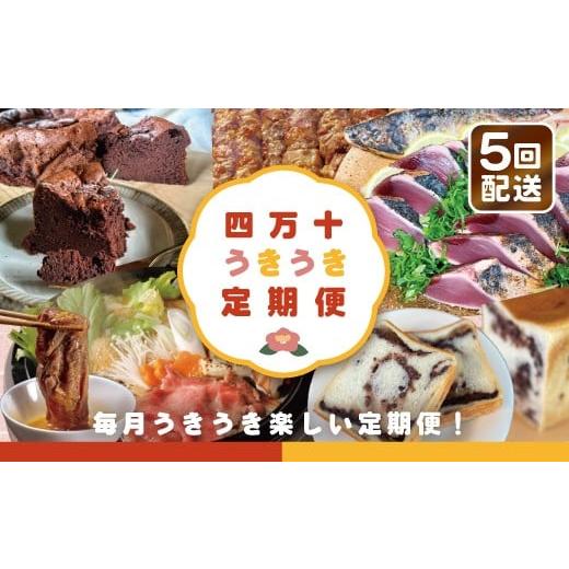 ふるさと納税 カツオ 高知県 四万十市 5回定期便 四万十うきうき定期便5万円コース 定期便 四万十市 四万十 高知 高知県 しまんと 鰹 かつお かつおのたたき …