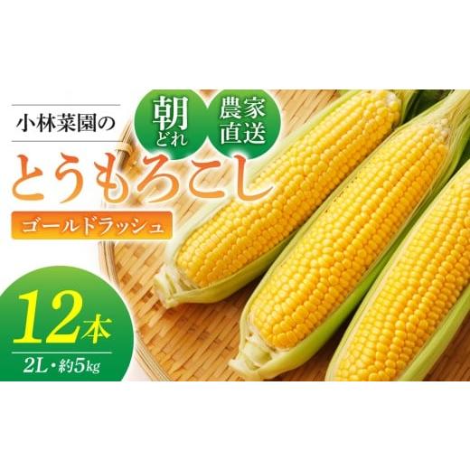 ふるさと納税 とうもろこし 長野県 東御市 先行受付2026年発送 農家直送 とうもろこし(ゴールドラッシュ)12本|小林菜園 2026年8月上旬以降発送予定