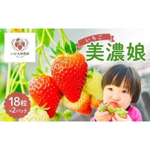ふるさと納税 いちご 岐阜県 揖斐川町   いちご 美濃娘 みのむすめ 18粒×2パック イチゴ 苺 フルーツ 旬 甘い ジューシー 生 美味しい ストロベ…