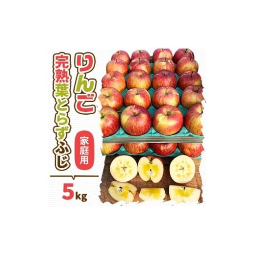 ふるさと納税 りんご 青森県 青森市 2025年産 りんご 完熟葉とらずふじ 5kg (家庭用) 1181954