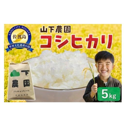 ふるさと納税 米 コシヒカリ 新潟県 佐渡市 山下農園 令和7年産 佐渡産コシヒカリ5kg