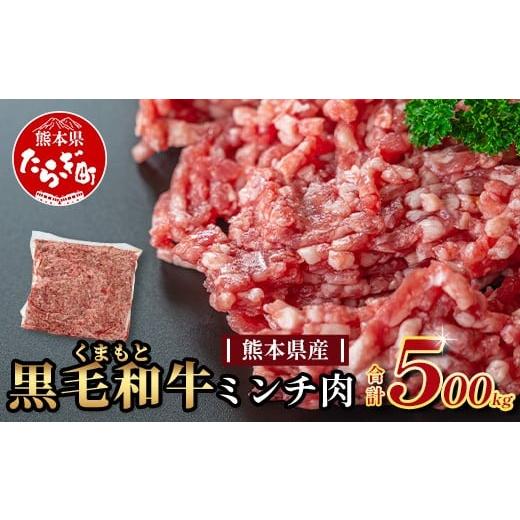 ふるさと納税 牛肉 ハンバーグ 熊本県 多良木町 熊本県産 黒毛和牛 ミンチ500g 本場 熊本県 黒毛 和牛 国産 牛肉 ミンチ肉 挽肉 ひき肉挽き肉 ブランド 牛 肉 …
