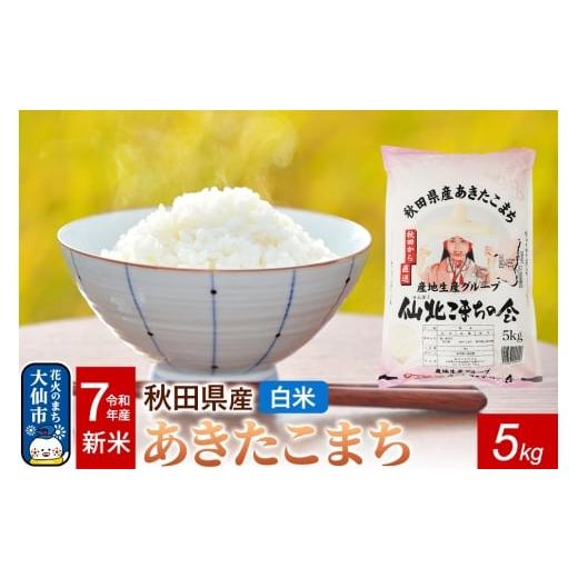 ふるさと納税 米 あきたこまち 秋田県 大仙市 新米 令和7年産 米 秋田県産 あきたこまち 白米 5kg 秋田県 大仙市