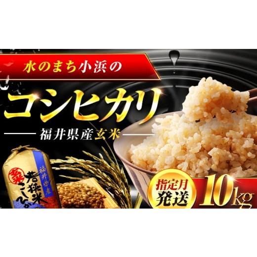 ふるさと納税 玄米 福井県 小浜市 10月発送 福井県産 コシヒカリ 玄米 10kg 一等級 /甘みと粘りが自慢 王道米 こしひかり 小浜市 / 若狭ふれいあい市場 BFE…