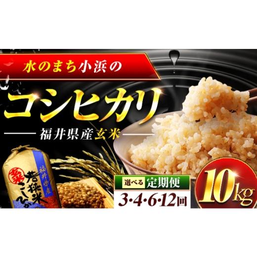 ふるさと納税 玄米 福井県 小浜市 4回定期便/3ヶ月に1回 福井県産 コシヒカリ 玄米 10kg 一等級 /甘みと粘りが自慢 王道米 こしひかり 小浜市 / 若狭ふれ…