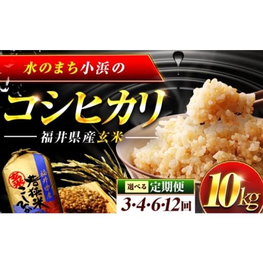 ふるさと納税 玄米 福井県 小浜市 新米 12回定期便 福井県産 コシヒカリ 玄米 10kg 一等級 /甘みと粘りが自慢 王道米 こしひかり 小浜市 / 若狭ふれいあい…
