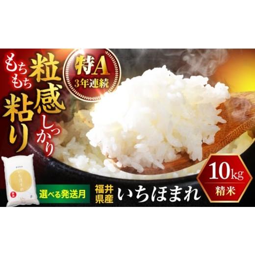 ふるさと納税 米 福井県 小浜市 1月発送 福井県産 いちほまれ 精米 (白米) 10kg 福井自慢のブランド米 一等級 福井県米 / コシヒカリ発祥 ブランド 特A常連…