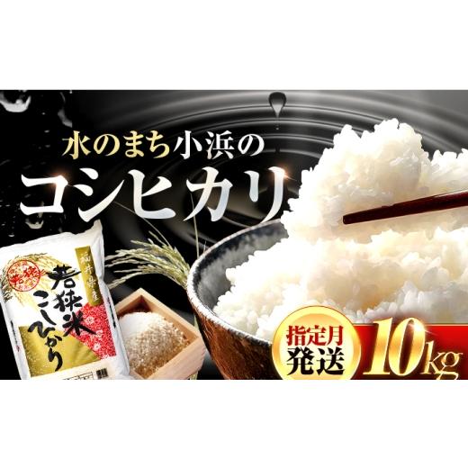 ふるさと納税 米 コシヒカリ 福井県 小浜市 福井県産 コシヒカリ 精米 (白米) 10kg 一等級 福井県米 /甘みと粘りが際立つ 王道米 こしひかり 小浜市 / 若…