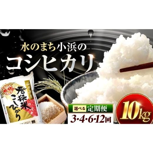 ふるさと納税 米 コシヒカリ 福井県 小浜市 3回定期便 福井県産 コシヒカリ 精米 (白米) 10kg 一等級 福井県米 /甘みと粘りが際立つ 王道米 こしひかり 小…