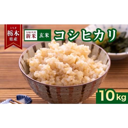ふるさと納税 米 コシヒカリ 栃木県 矢板市 2026年先行予約 コシヒカリ 玄米 10kg | お米 米 こめ 玄米 コシヒカリ こしひかり 美味しい 令和8年 産 お弁当 …