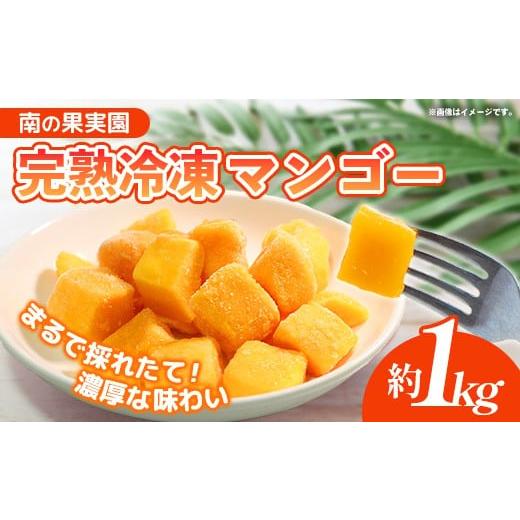 ふるさと納税 マンゴー 沖縄県 八重瀬町 南の果実園 贅沢カット 完熟冷凍マンゴー 約1kg - 種なし 皮なし ダイスカット アップルマンゴー 果肉のみ 使いやすい…