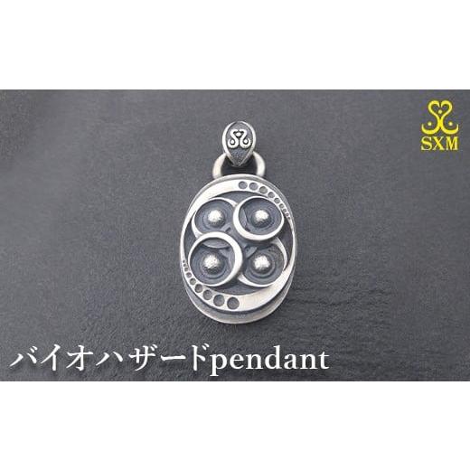 ふるさと納税 アクセサリー ペンダント 茨城県 常総市 バイオハザードpendant