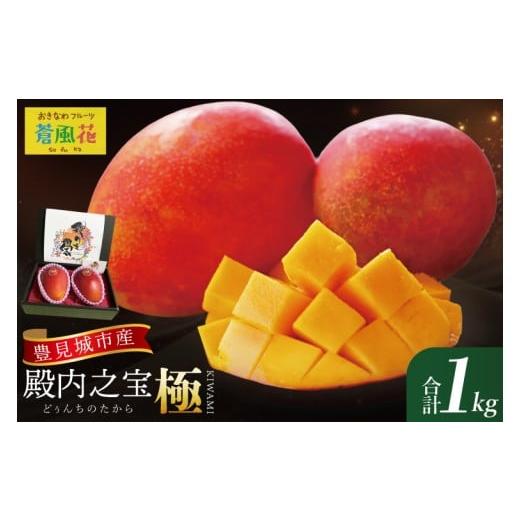 ふるさと納税 マンゴー 沖縄県 豊見城市 2026年7月より順次発送 豊見城産マンゴー『殿内之宝(どぅんちのたから)・極』約1kg|マンゴー フルーツ 果物 くだも…