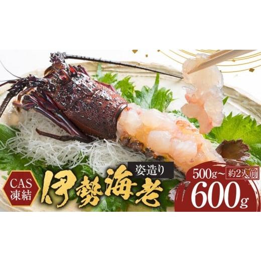 ふるさと納税 エビ 伊勢エビ 和歌山県 白浜町 年末配送 CAS凍結 伊勢海老 姿造り 500g 〜 600g 約2人前