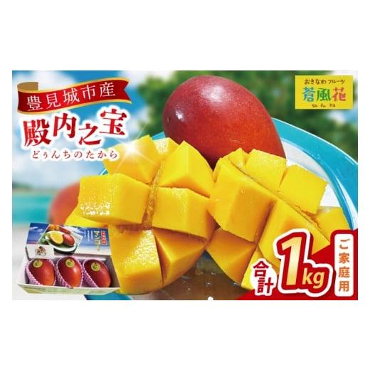 ふるさと納税 マンゴー 沖縄県 豊見城市 2026年7月より順次発送 豊見城産マンゴー『殿内之宝(どぅんちのたから)』約1kg(ご家庭用)|マンゴー フルーツ 果物 …