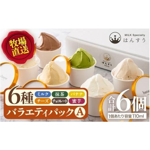 ふるさと納税 菓子 アイス 福井県 坂井市 先行予約 はんすうカップアイス バラエティパック A(6種類入) 2025年12月上旬より順次発送予定 アイス ジェラート…