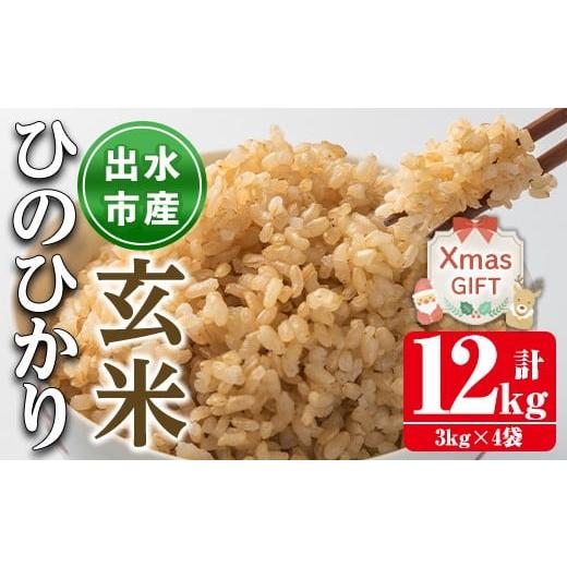 ふるさと納税 玄米 鹿児島県 出水市 i503-Xm クリスマスギフト 鹿児島県出水市産ひのひかり玄米 3kg×4袋・計12kg 米 玄米 お米 12kg 国産 ひのひかり おにぎ…