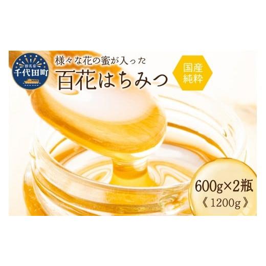 ふるさと納税 加工品等 はちみつ 群馬県 千代田町 チョイス限定 2026年1月発送 はちみつ 計1,200g(600g×2瓶) 百花蜂蜜 田代養蜂場 ハチミツ 蜂蜜 ハニー 蜜…