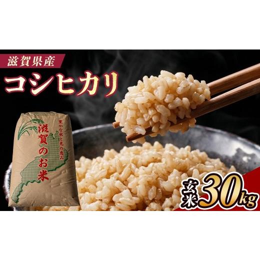 ふるさと納税 玄米 滋賀県 甲賀市  令和7年産 近江米コシヒカリ玄米30kgの画像