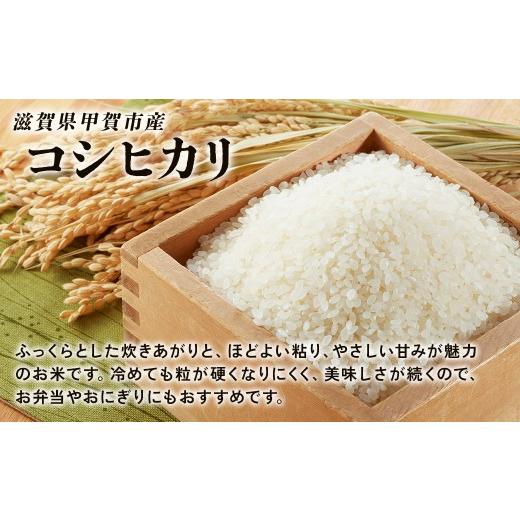 ふるさと納税 玄米 滋賀県 甲賀市  令和7年産 近江米コシヒカリ玄米30kgの画像