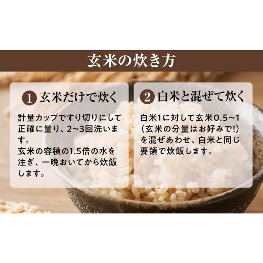 ふるさと納税 玄米 滋賀県 甲賀市  令和7年産 近江米コシヒカリ玄米30kgの画像