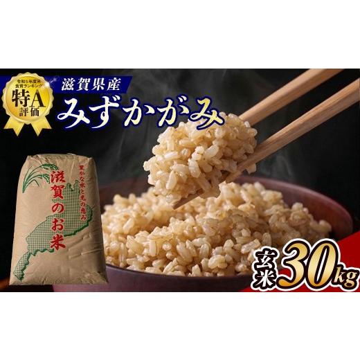 ふるさと納税 玄米 滋賀県 甲賀市  令和7年産 近江米みずかがみ玄米30kgの画像